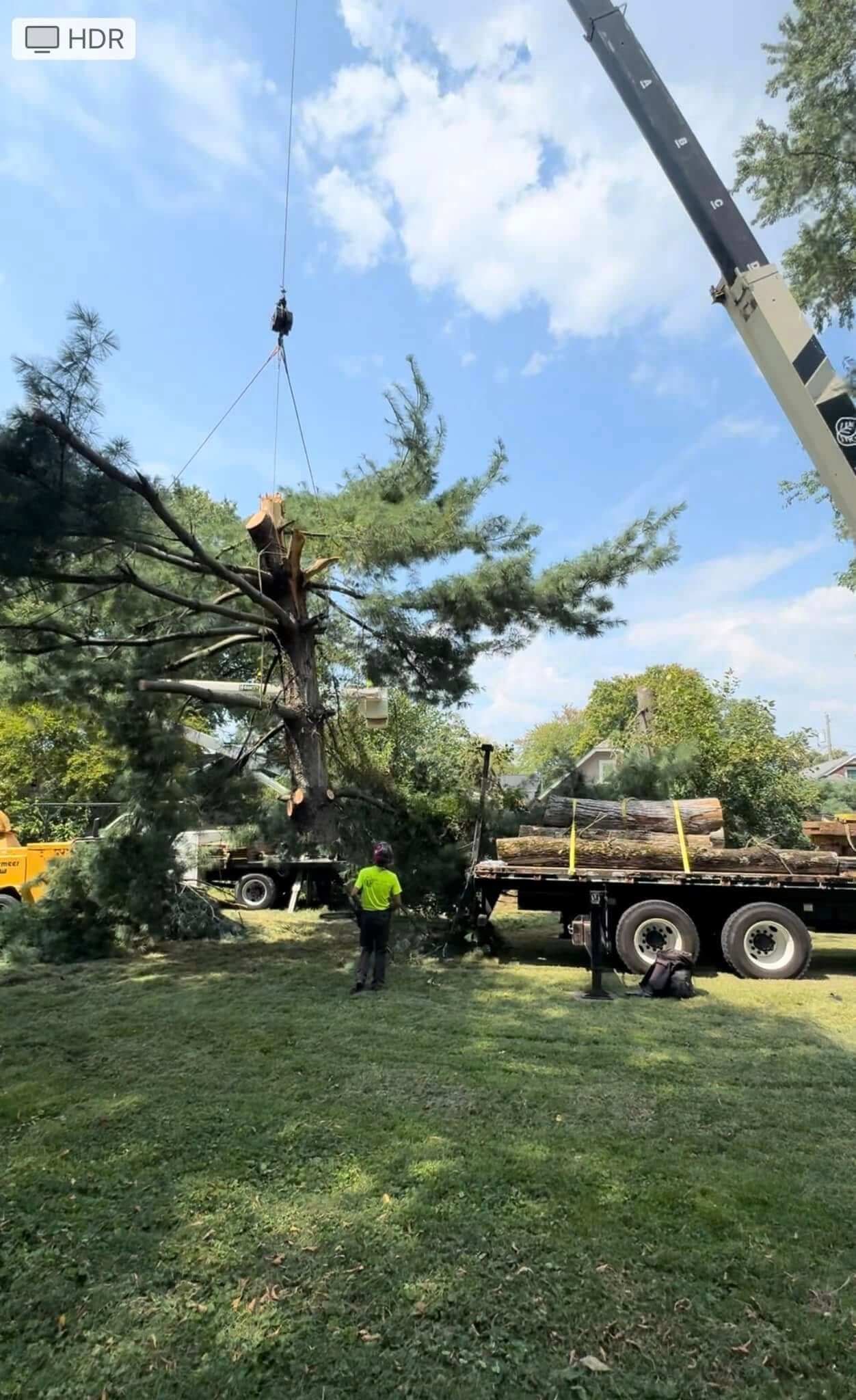 Crane Tree Service Louisville