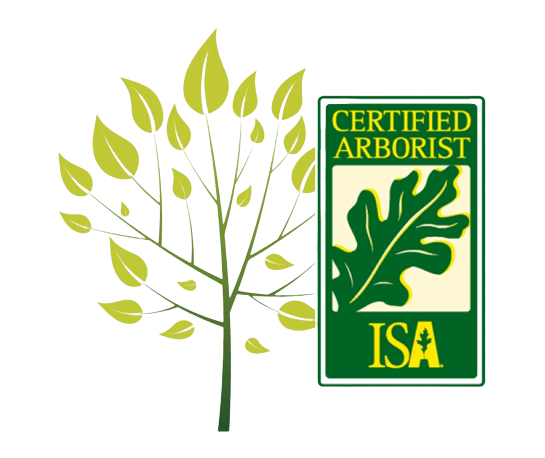 ISA Badge