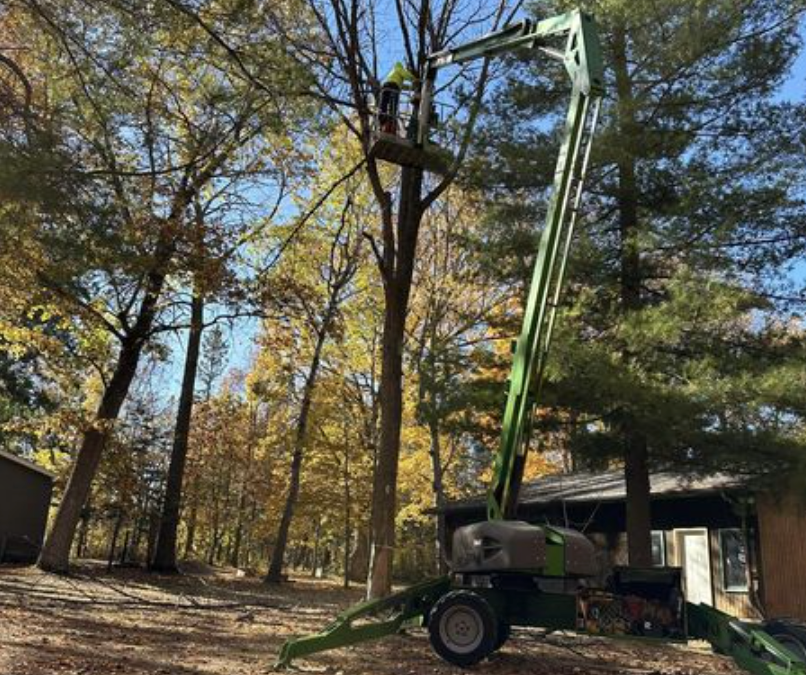 Expert Oak Tree Pruning in Louisville, KY: Ensuring Safety with New Leaf Tree Service