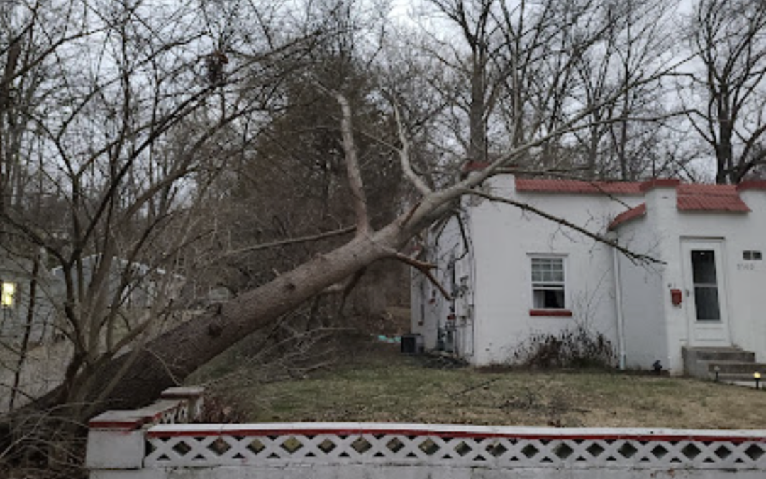 Emergency Tree Removal Prospect, KY: New Leaf Tree Service Responds to Storm Damage