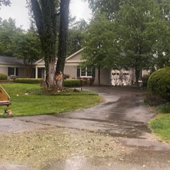 Storm Damage Tree Removal