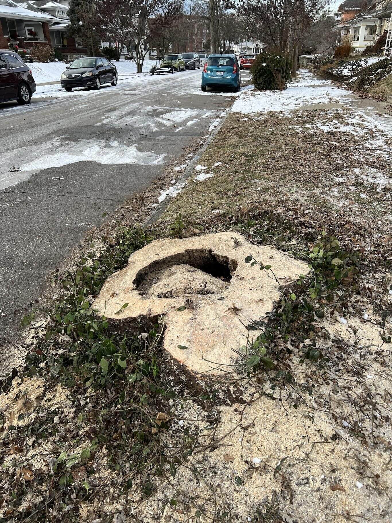 Stump Grinding in Louisville