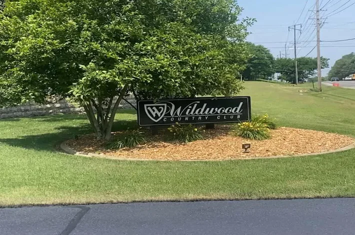 A lot after certified arborist services in Louisville, KY