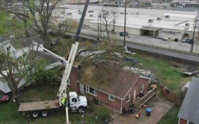 New Leaf Tree Service’s Precise Crane-Assisted Tree Removal in Louisville, KY