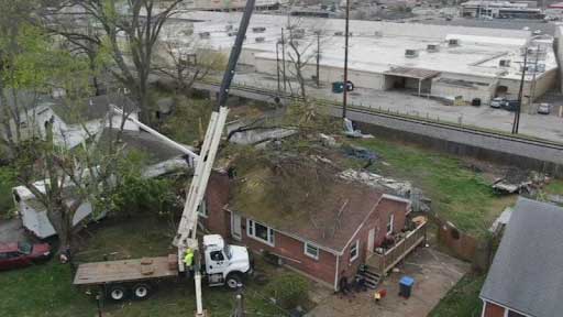 crane-assisted-tree-removal-louisville