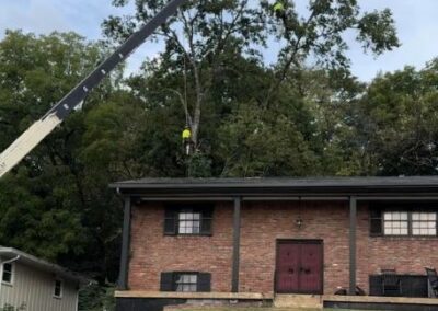 A crane during tree removal in Jefferson County, KY