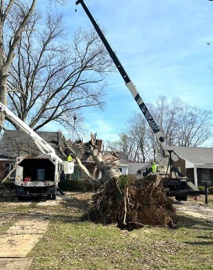 A tree removal job in Clarksville, IN