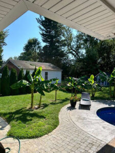 A successful tree service job in Crestwood, KY