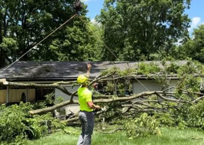 A crew member during tree service in Jefferson County, KY