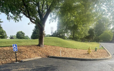 Saving New Albany’s Trees: A Comprehensive Health Assessment Case Study